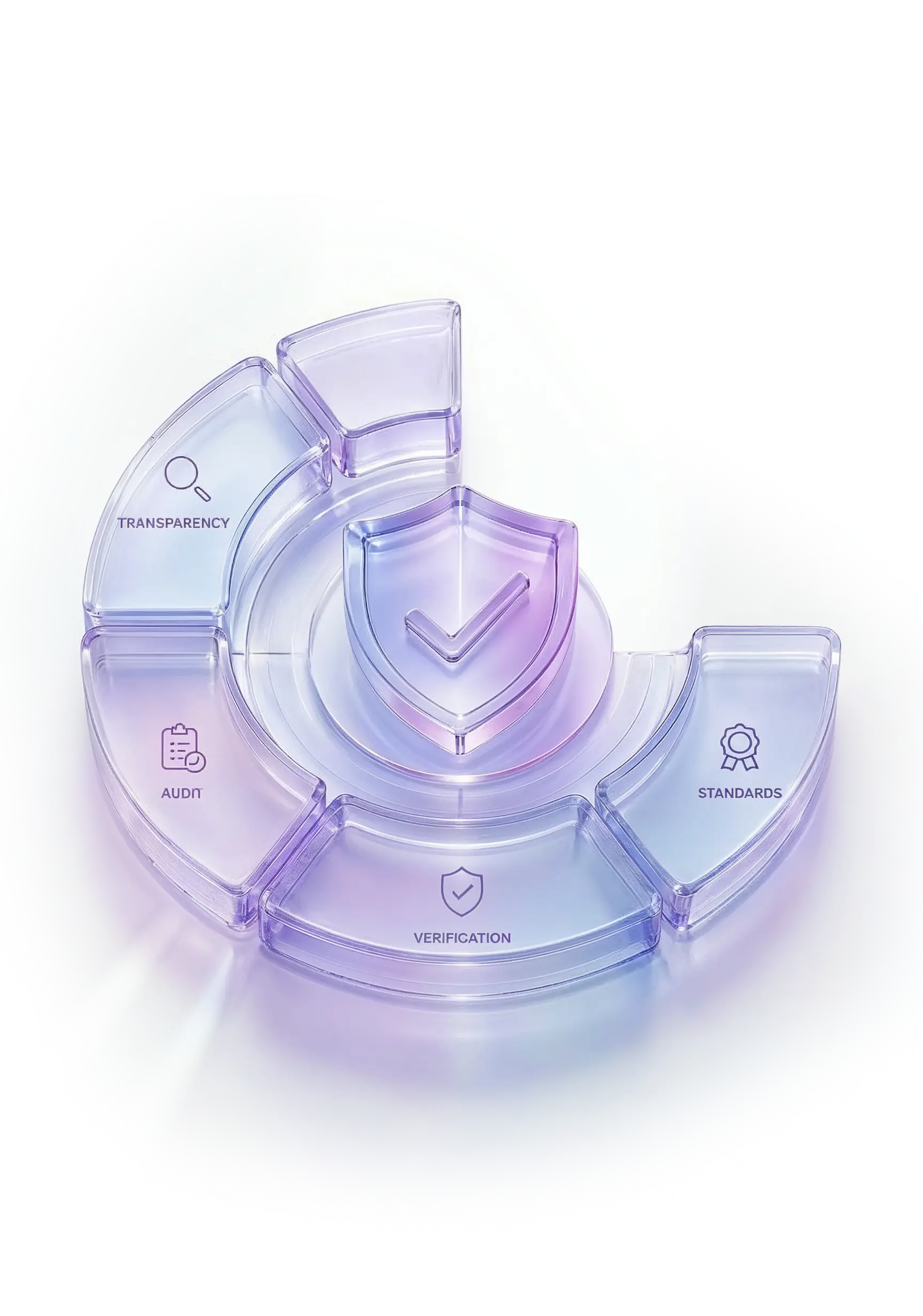 Verification & Compliance Support Service